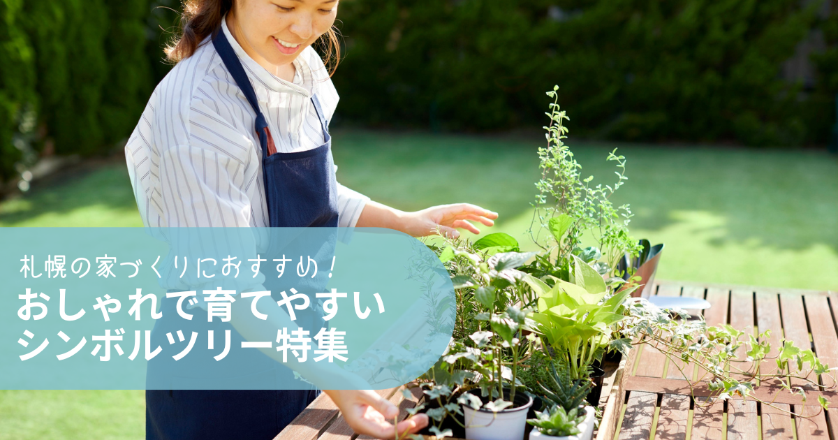 札幌の家づくりにおすすめ!おしゃれで育てやすいシンボルツリー特集